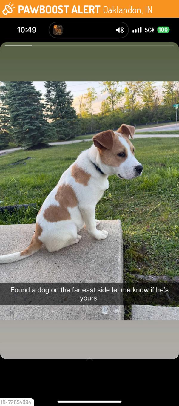 Found/Stray Male Dog last seen N German Church Rd & E 42nd St Indianapolis, IN  46235 United States, Oaklandon, IN 46235