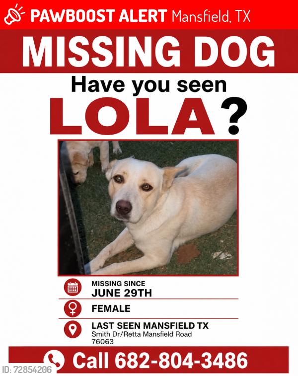 Lost Female Dog last seen Near smith drive mansfield tx , Mansfield, TX 76063