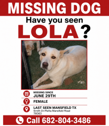 Lost Female Dog last seen Near smith drive mansfield tx , Mansfield, TX 76063
