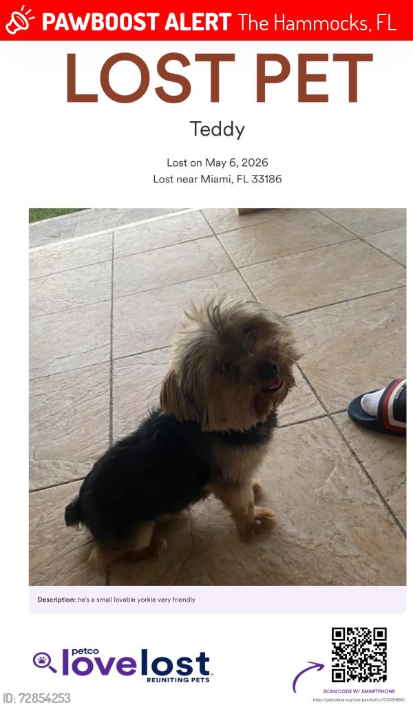 Lost Male Dog last seen 147ave sw 96 st, The Hammocks, FL 33196