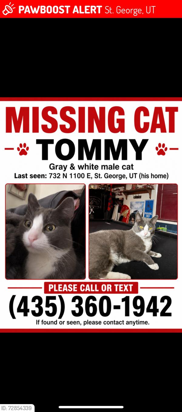 Lost Male Cat last seen Near n 1100E St. George ut 84770, St. George, UT 84770