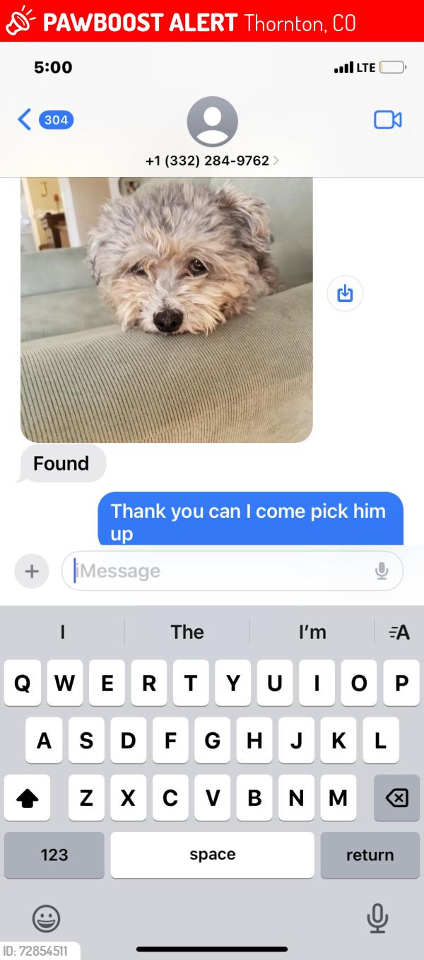 Lost Male Dog last seen 120th, Thornton, CO 80241