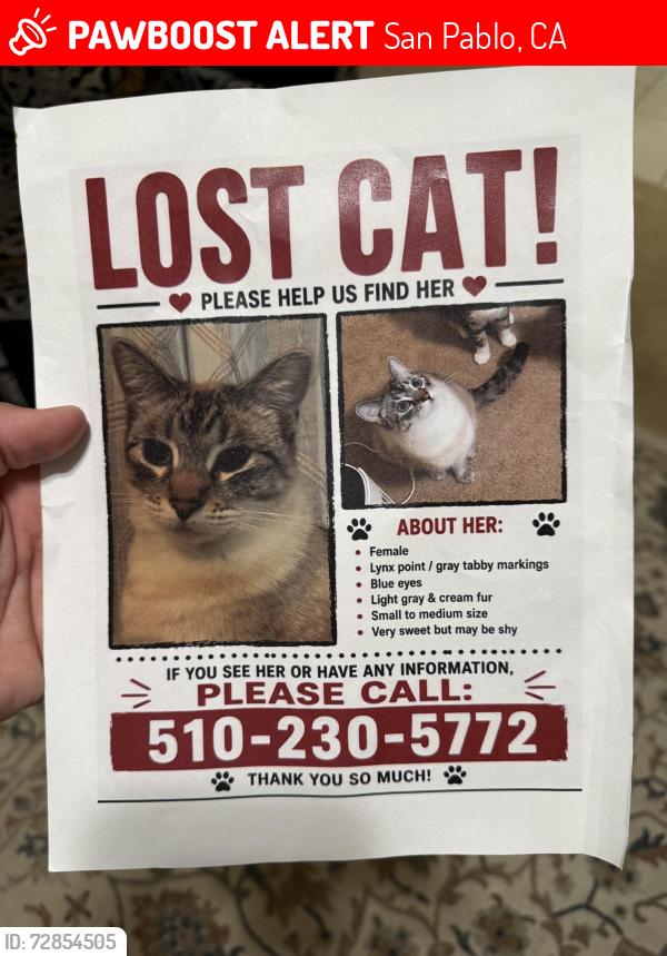Lost Female Cat last seen Lake st , San Pablo, CA 94806