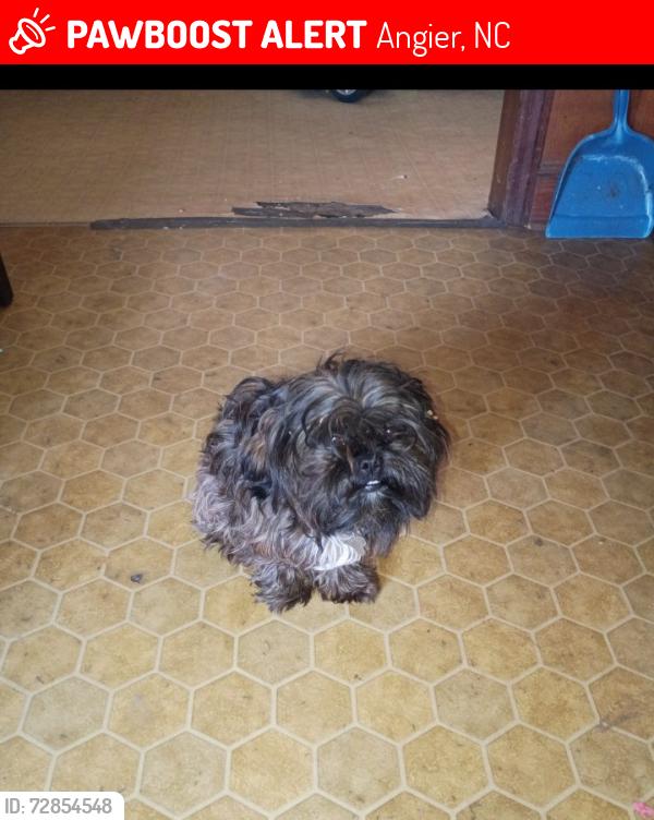 Lost Male Dog last seen Ennis rd. And hwy 55, Angier, NC 27501