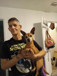 Found/Stray Male Dog last seen Massachusetts ave, Pensacola, FL 32505