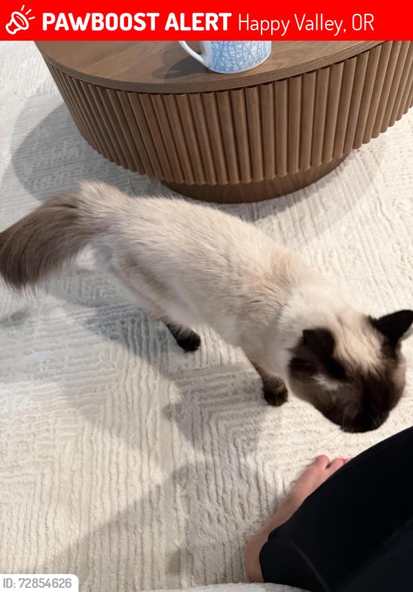 Lost Female Cat last seen Pleasant valley pkwy, Happy Valley, OR 97086