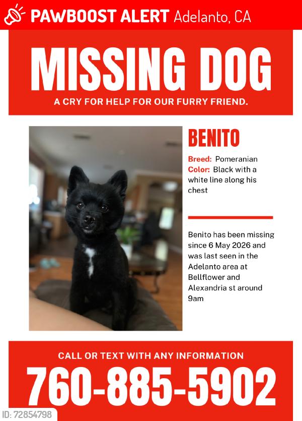 Lost Male Dog last seen Huntington and Victor st, Adelanto, CA 92301