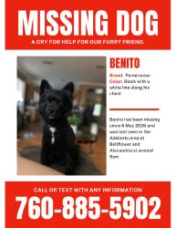 Lost Male Dog last seen Huntington and Victor st, Adelanto, CA 92301