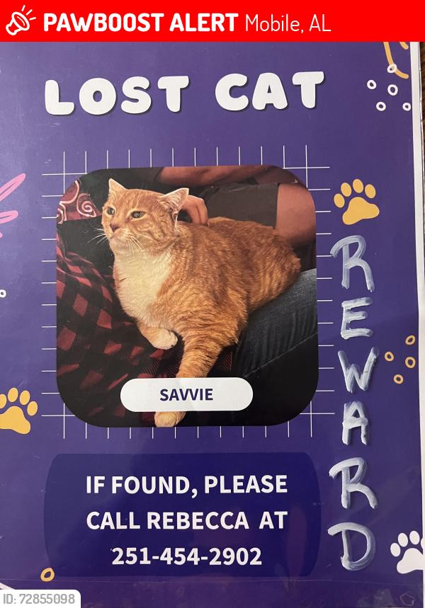 Lost Female Cat last seen Brockton place, Mobile, AL 36695