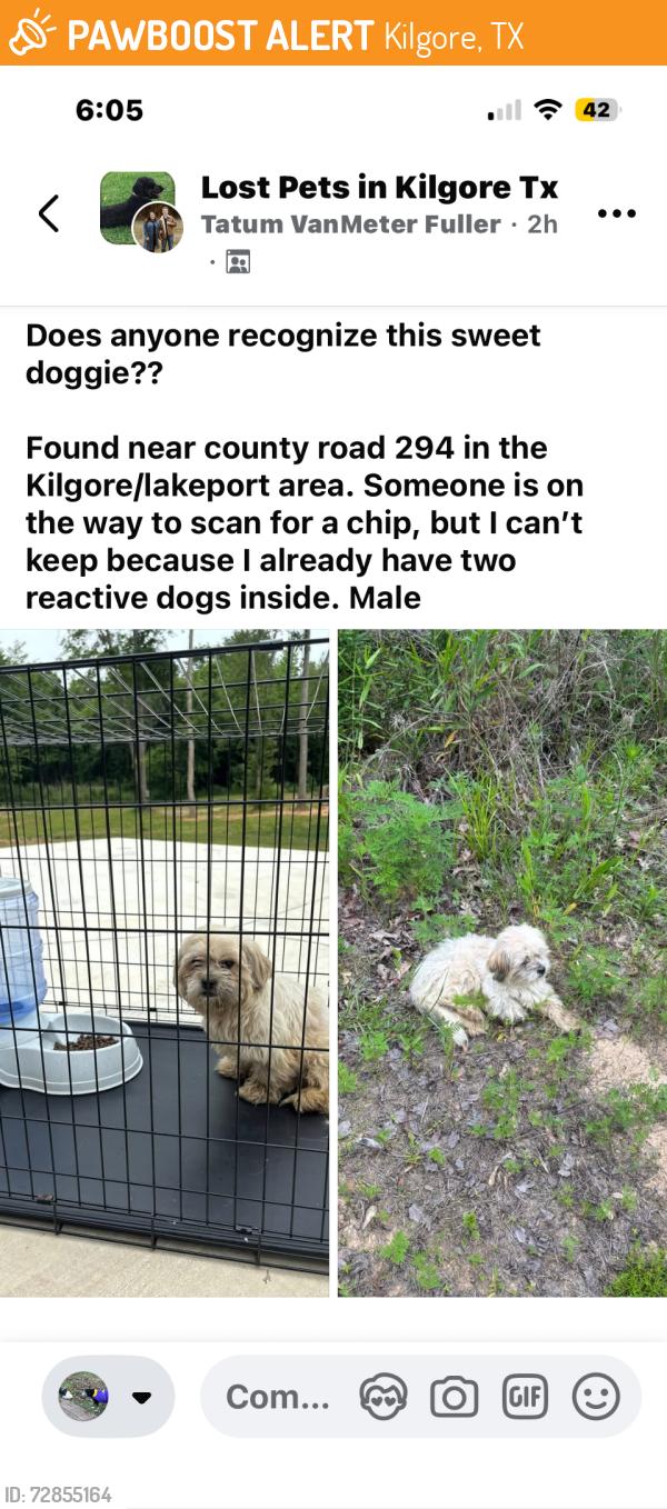 Found/Stray Male Dog last seen Cr293, Kilgore, TX 75662