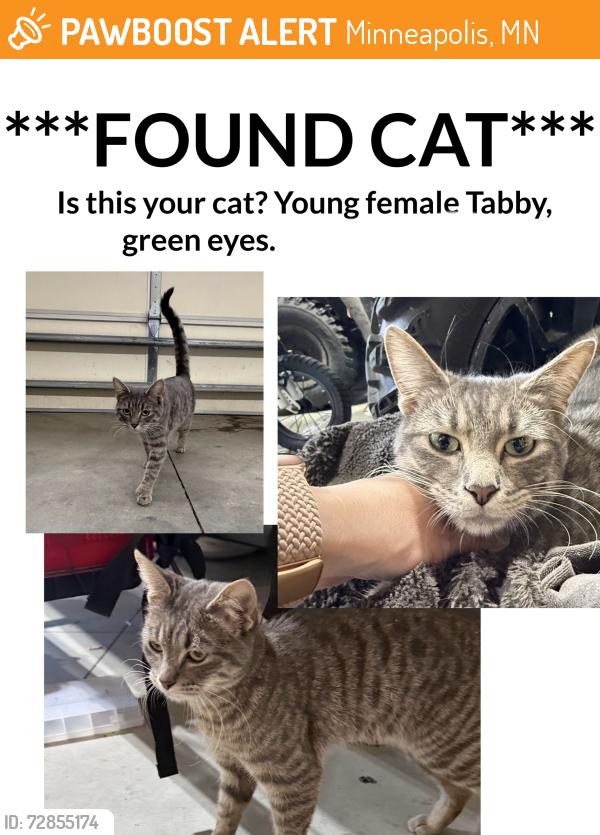 Found/Stray Female Cat last seen Golden valley rd and hidden lakes pkwy, Minneapolis, MN 55422