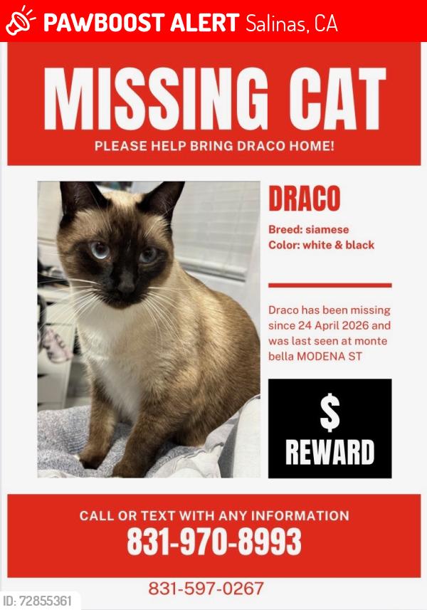 Lost Male Cat last seen Monte Bella park, Salinas, CA 93905