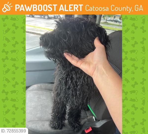Found/Stray Female Dog last seen Mine and Homeplace, Catoosa County, GA 30755