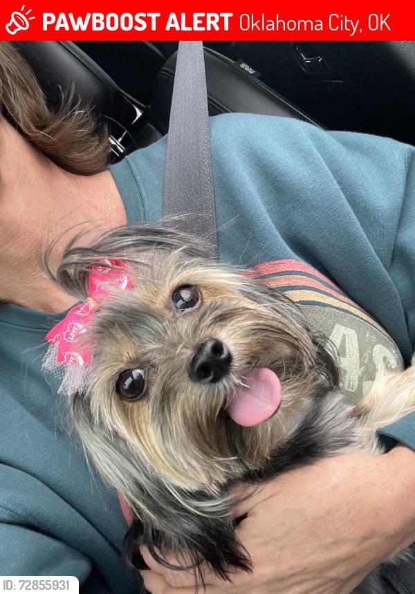 Lost Female Dog last seen Billen ave, Oklahoma City, OK 73112