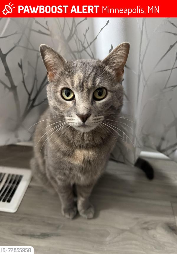 Lost Female Cat last seen Near st and 14th Ave , Minneapolis, MN 55404