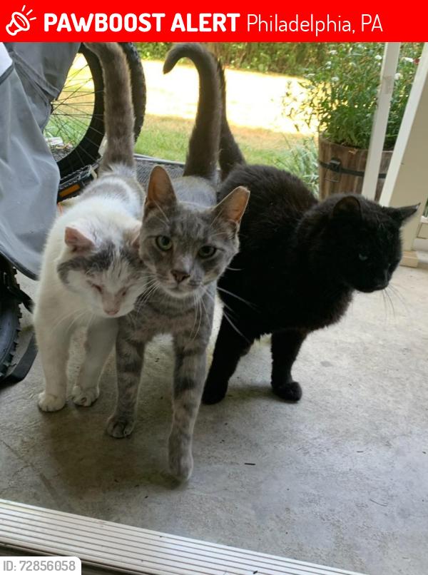 Lost Unknown Other last seen Near gateway dr gateway apmts, Philadelphia, PA 19145