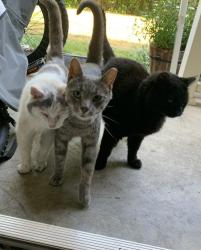 Lost Unknown Other last seen Near gateway dr gateway apmts, Philadelphia, PA 19145