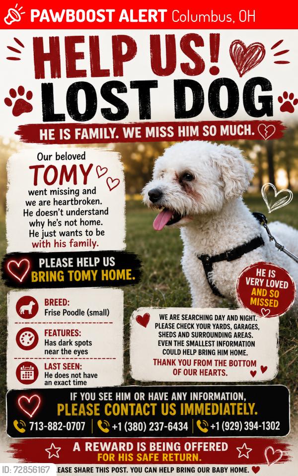 Lost Male Dog last seen Near rosabella Columbus Ohio 43213 zip, Columbus, OH 43213
