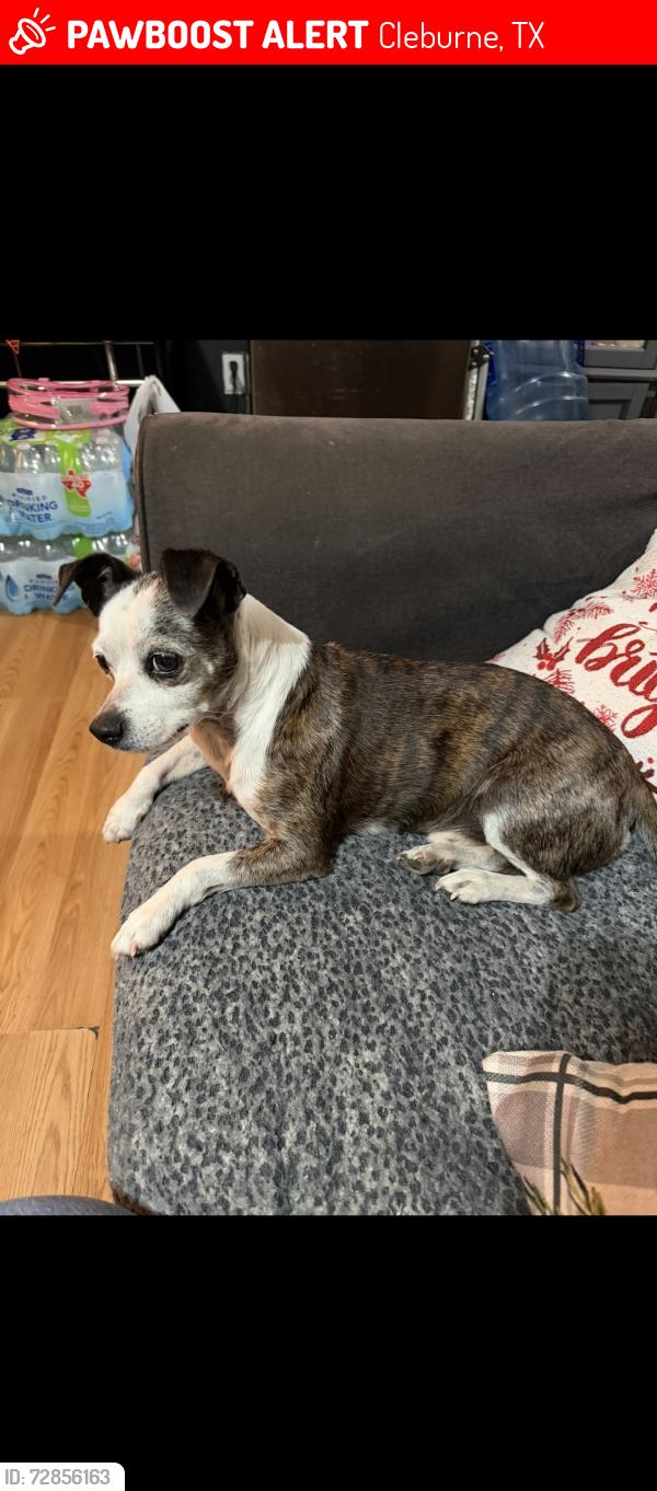 Lost Male Dog last seen Near Alvarado st , Cleburne, TX 76031