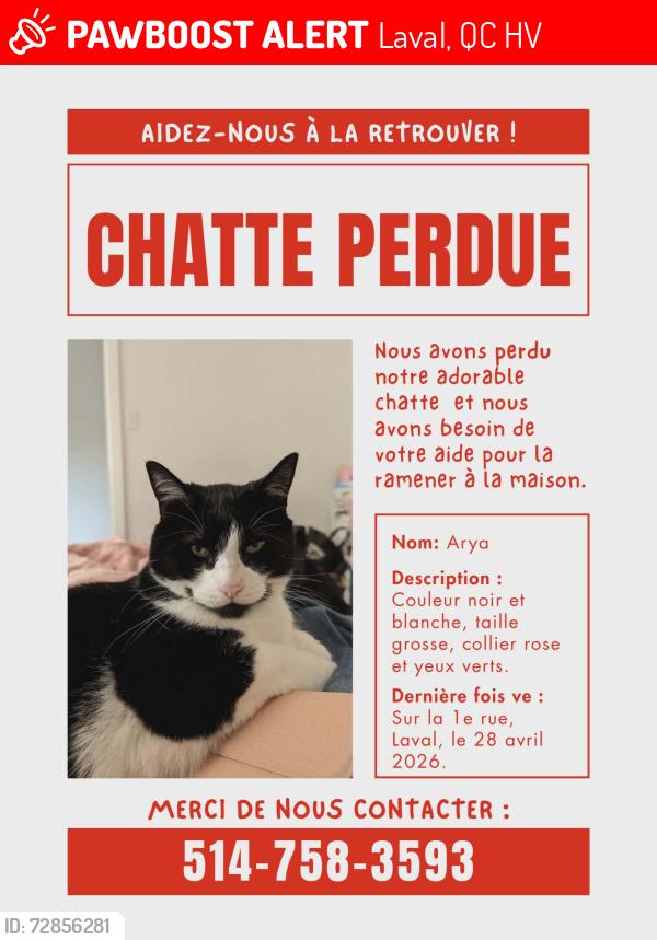 Lost Female Cat last seen Ecole secondaire, Laval, QC 