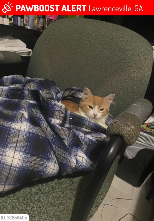 Lost Female Cat last seen Laurelton circle 30044, Lawrenceville, GA 30044