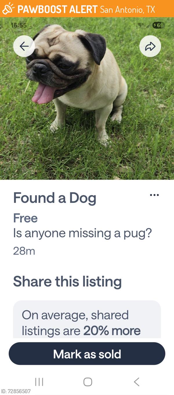 Found/Stray Male Dog last seen Bandera and 1604, San Antonio, TX 78249