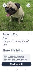 Found/Stray Male Dog last seen Bandera and 1604, San Antonio, TX 78249