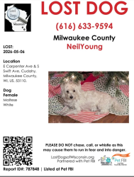 Lost Female Dog last seen Swift and Carpenter, Cudahy, WI 53110