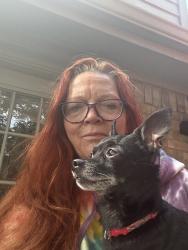 Found/Stray Male Dog last seen El camino, Houston, TX 77062