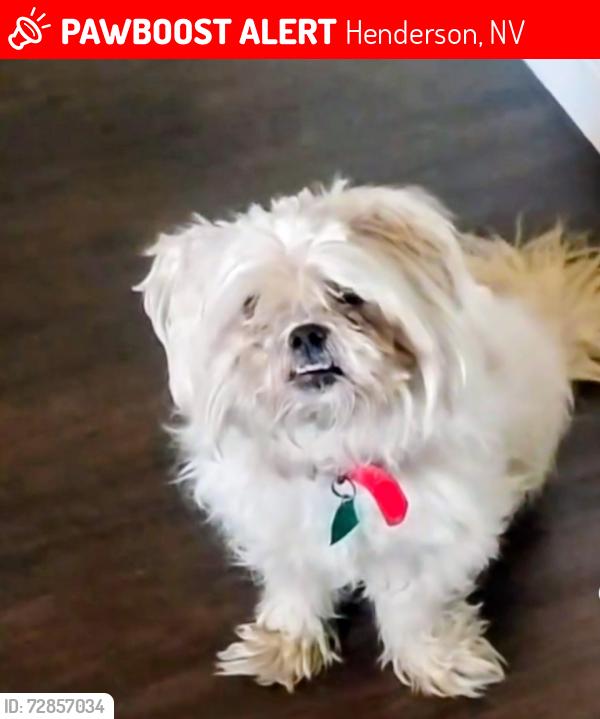 Lost Female Dog last seen Lakemead parkway and fullerton , Henderson, NV 89015