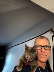 Lost Male Cat last seen 33rd and peoria, Phoenix, AZ 85051