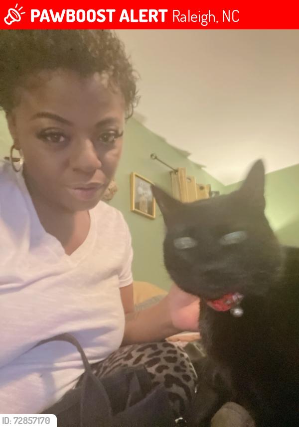 Lost Male Cat last seen Falls of the neuse, Raleigh, NC 27614