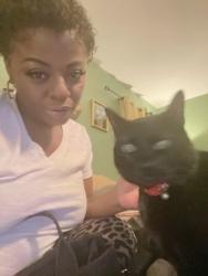 Lost Male Cat last seen Falls of the neuse, Raleigh, NC 27614