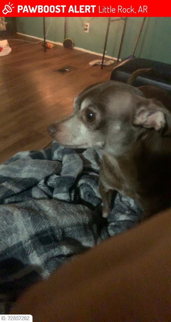 Lost Male Dog last seen mabelvale cut off dr, Little Rock, AR 72103