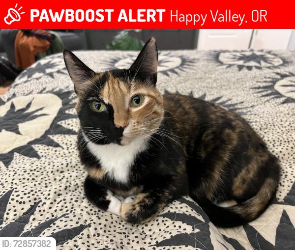 Lost Female Cat last seen 115th and Hazel hill rd, Happy Valley, OR 97086