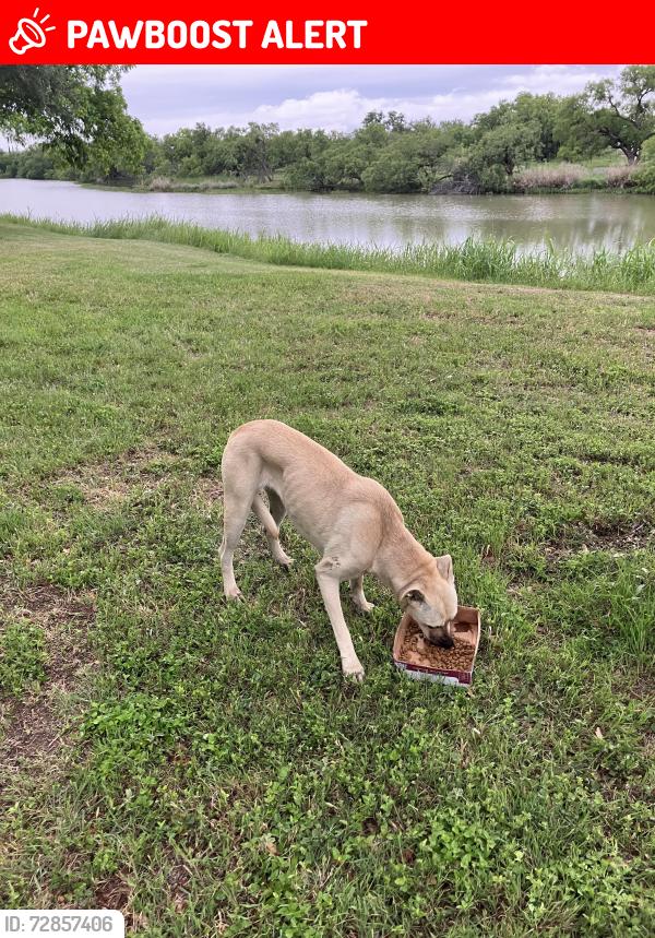Lost Unknown Dog last seen South of the Horse Shoe, Tom Green County, TX 76904