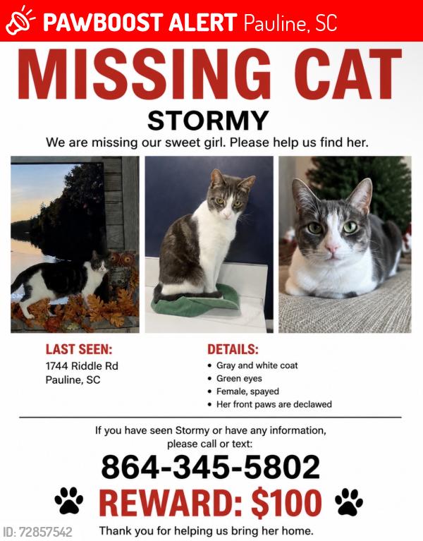 Lost Female Cat last seen Riddle Rd, Pauline, SC 29374