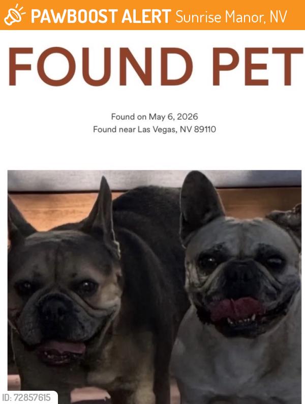 Found/Stray Unknown Dog last seen Washington and Linn, Sunrise Manor, NV 89110