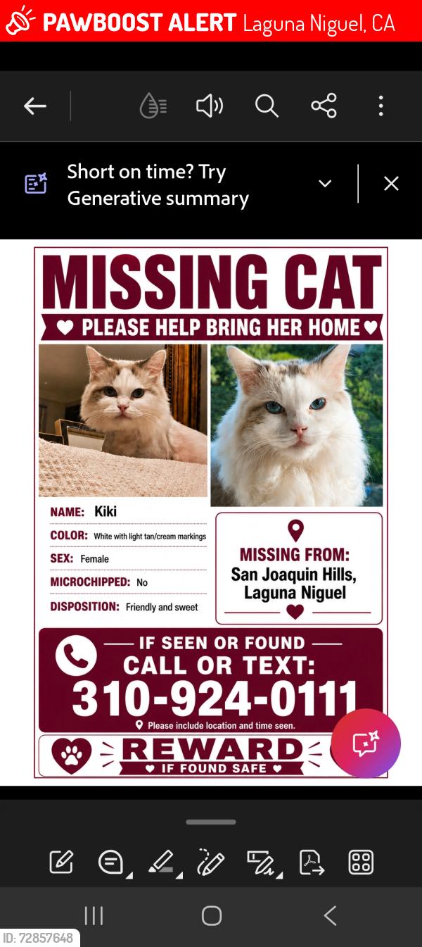Lost Female Cat last seen Aliso niguel and moulton, Laguna Niguel, CA 92677