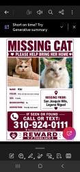 Lost Female Cat last seen Aliso niguel and moulton, Laguna Niguel, CA 92677