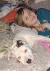 Lost Female Dog last seen Mt.Zion Church, Hallsville, MO 65255
