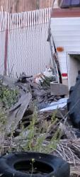 Found/Stray Unknown Cat last seen Rosebush lane across from Thunderhawks school, Valley Center, CA 92082