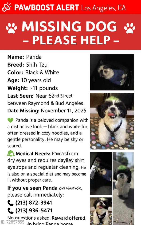 Lost Male Dog last seen Gage , Los Angeles, CA 90044
