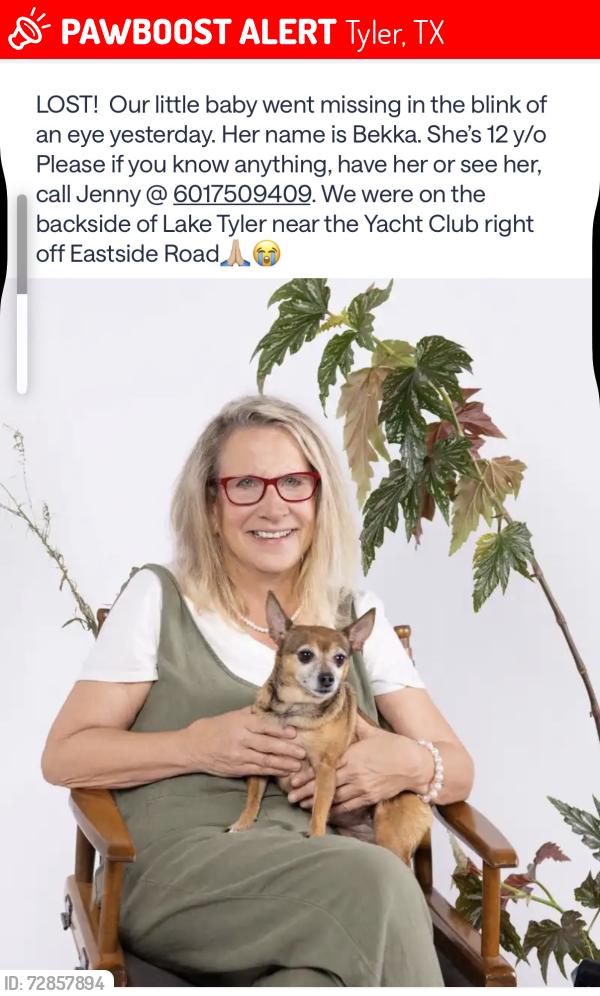 Lost Female Dog last seen Eastside Road past The bridge at Lake Tyler near the Yacht Club, Tyler, TX 75707