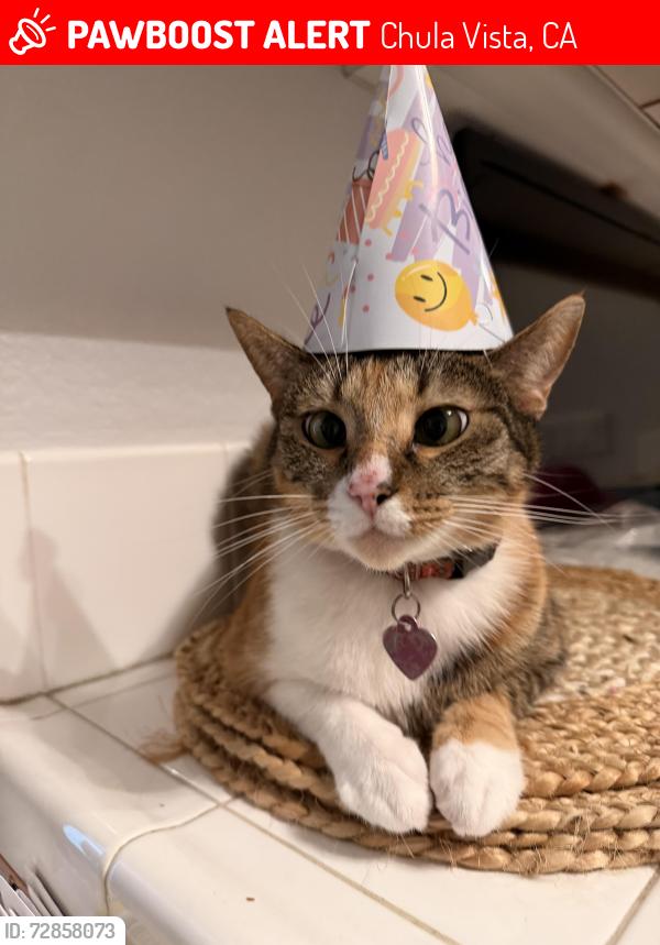 Lost Female Cat last seen Geyserville, Chula Vista, CA 91913
