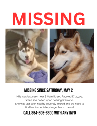 Lost Female Dog last seen Tate Baptist Church , Pacolet, SC 29372
