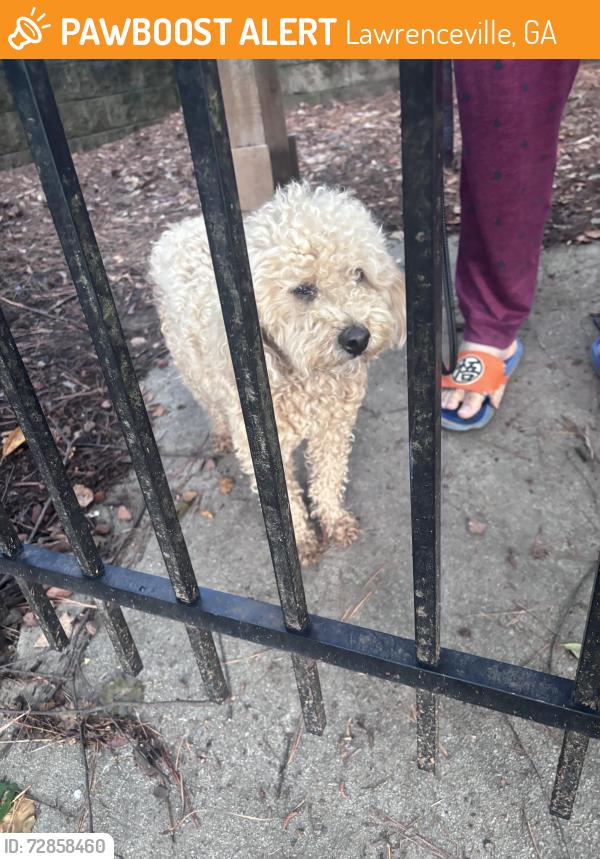 Found/Stray Unknown Dog last seen Retreat at Sweetwater , Lawrenceville, GA 30044