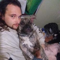 Lost Female Dog last seen Lewisville-clemmons rd, Clemmons, NC 27012