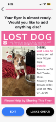 Lost Male Dog last seen Evergreen and Outer drive , Detroit, MI 48219