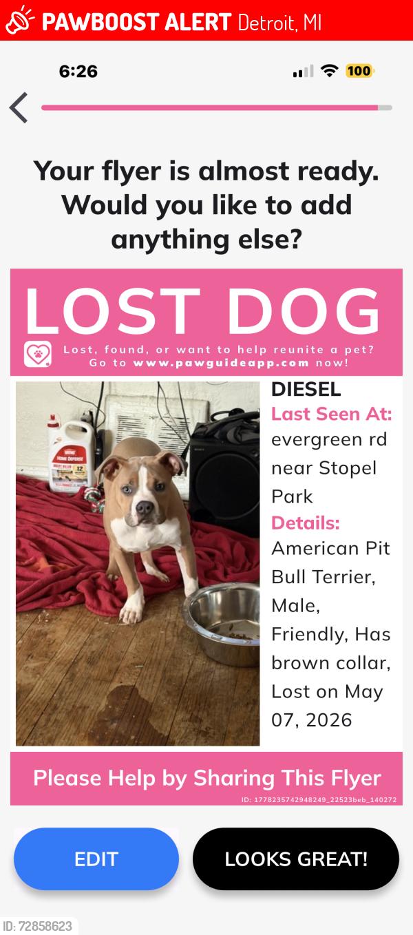 Lost Male Dog last seen Evergreen and Outer drive , Detroit, MI 48219